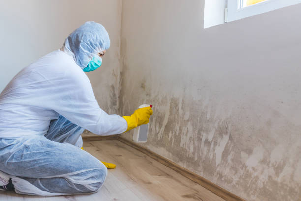 Licensed Bathroom Mold Removal service in Liverpool, PA - WQB Mold Removal