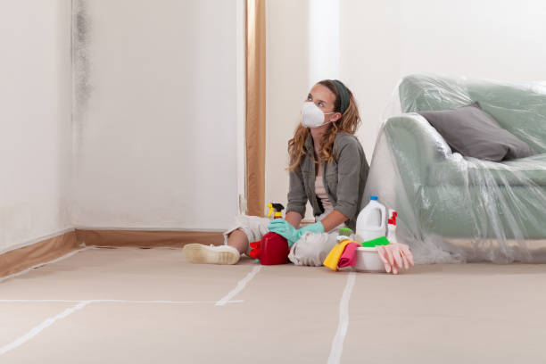 Reliable Bathroom Mold Removal contractor in Liverpool, PA by WQB Mold Removal